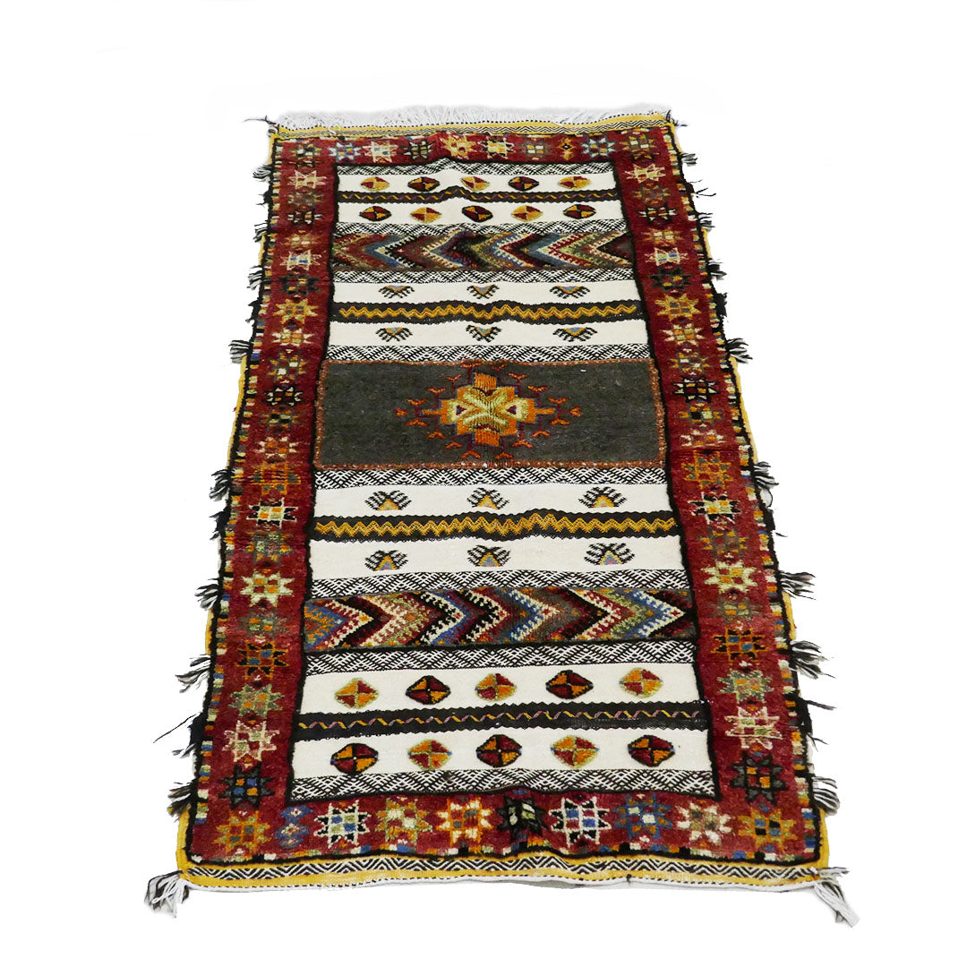 Tazenakht Rug - Handmade Wool Colorful Rug - Boho style 200X95 - TR0060