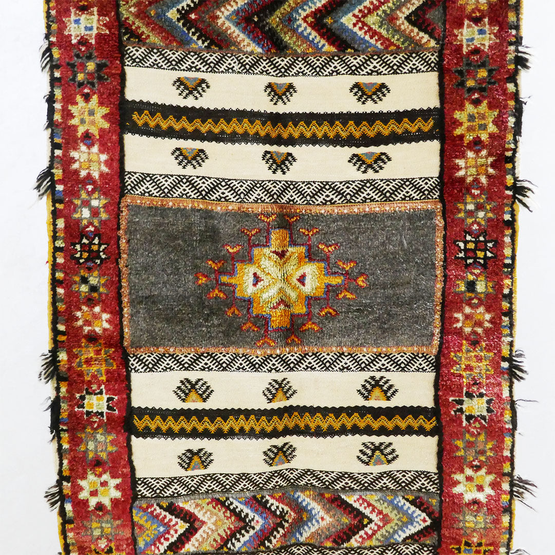 Tazenakht Rug - Handmade Wool Colorful Rug - Boho style 200X95 - TR0060