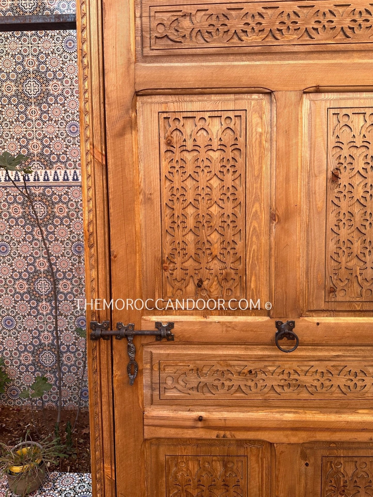 Two Hand Carved Wooden Door with one Frame.